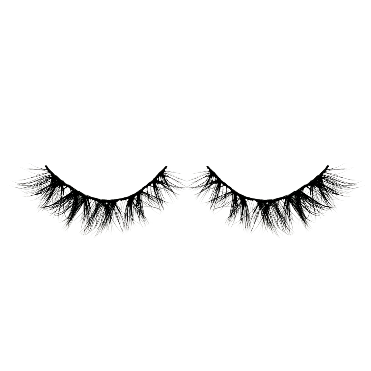 Bonita